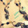Exklusive Halskette mit einem Pfau-Anh&auml;nger und Steine verziert